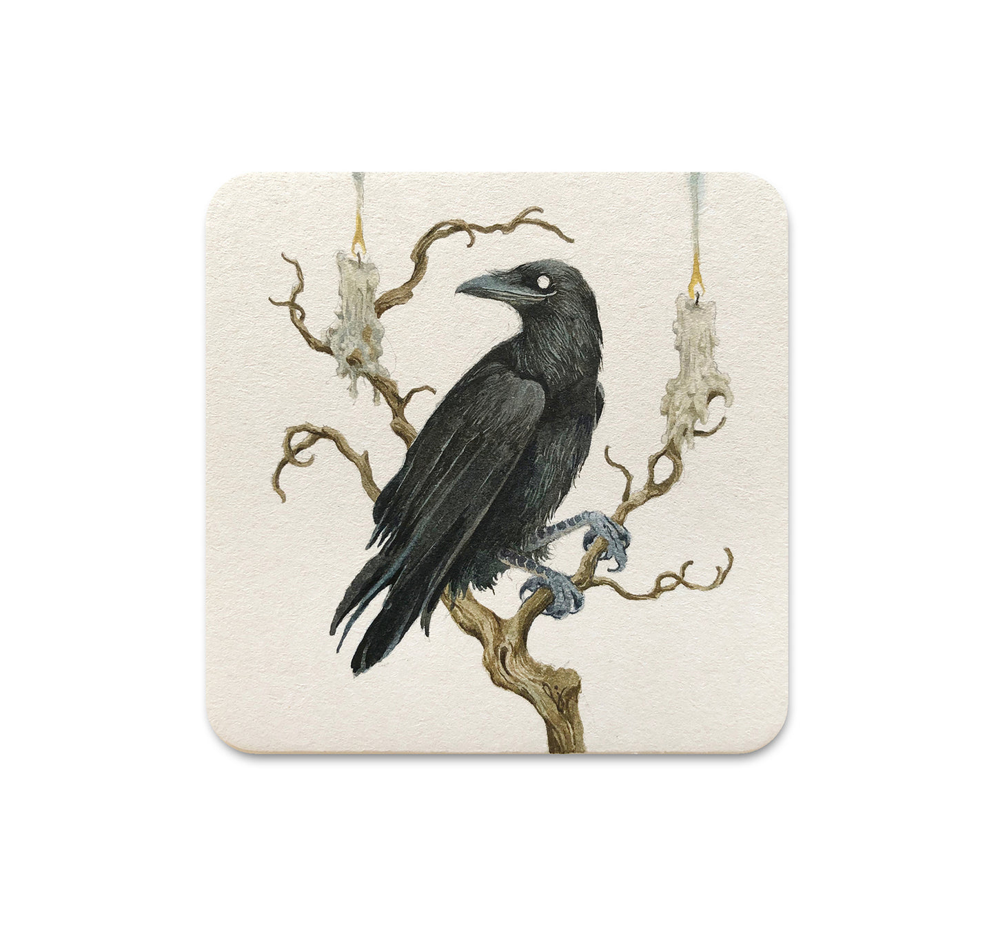 S4 Lily Seika Jones - 6 Coaster