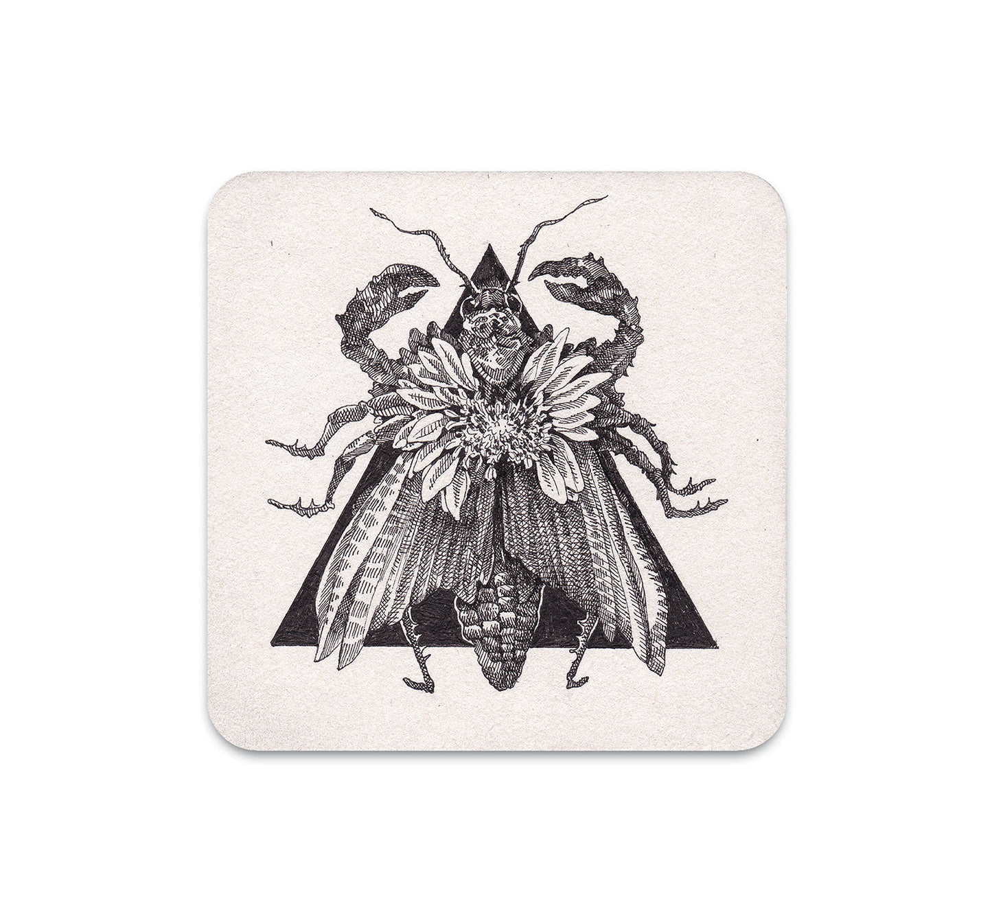 S4 Song Kang - 3 Coaster