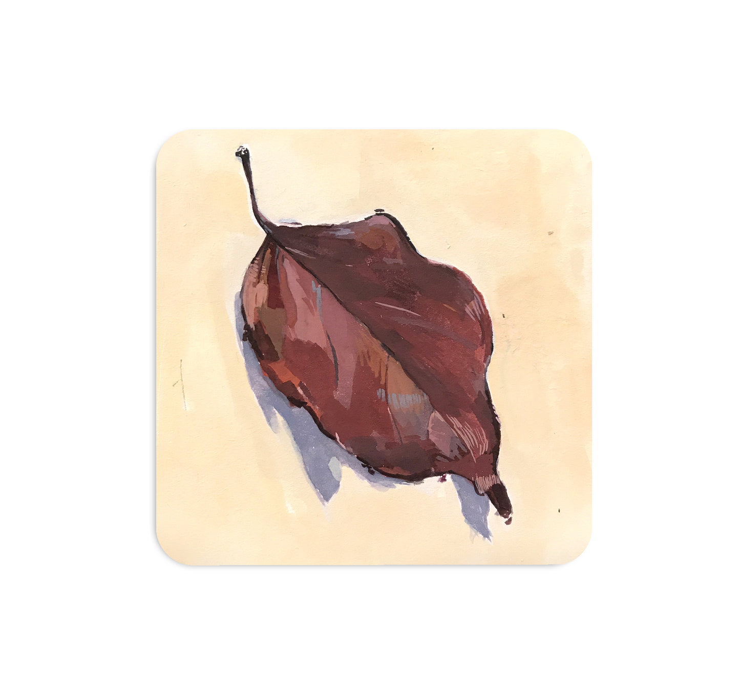 S4 Allen TenBusschen - 1 Coaster