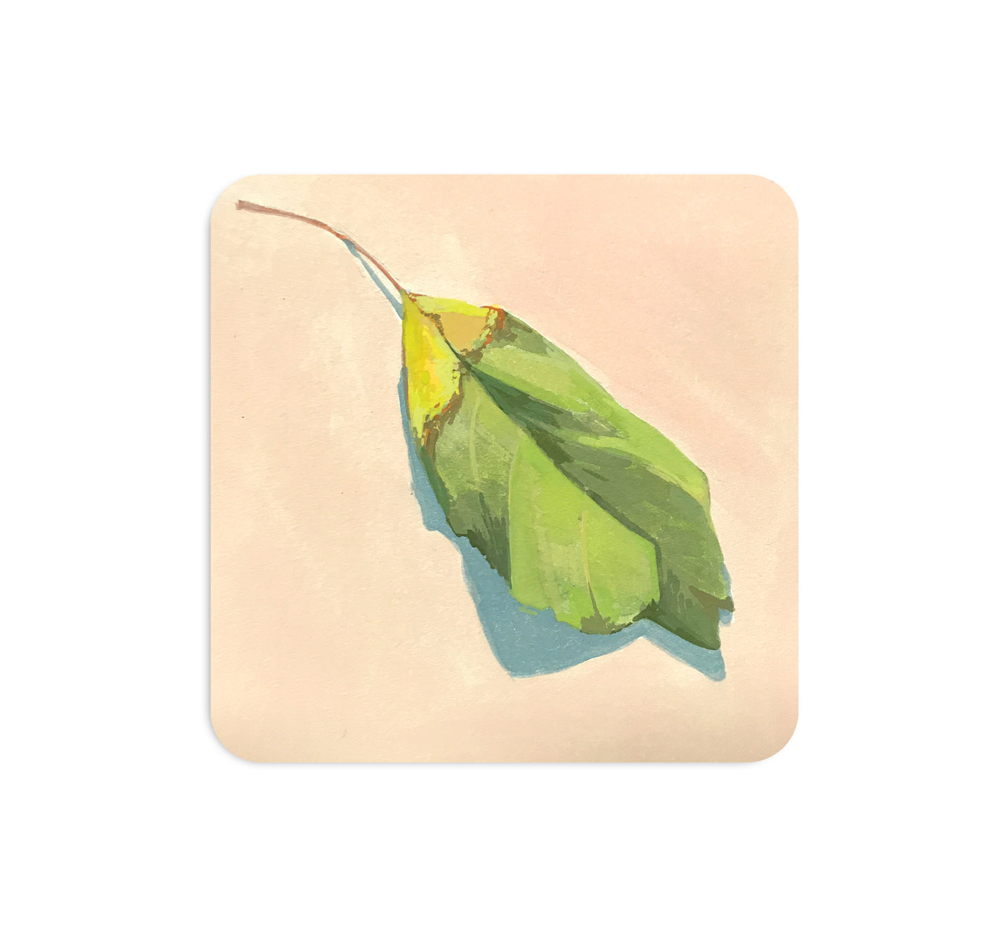 S4 Allen TenBusschen - 3 Coaster