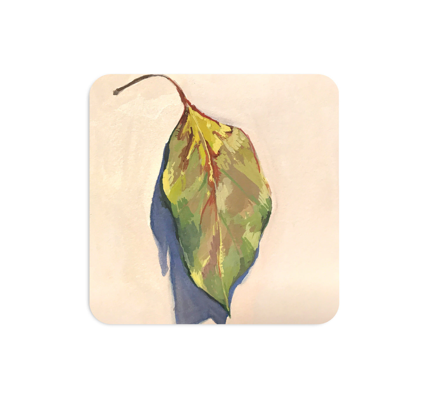 S4 アレン・テンブッシェン - 5 コースター