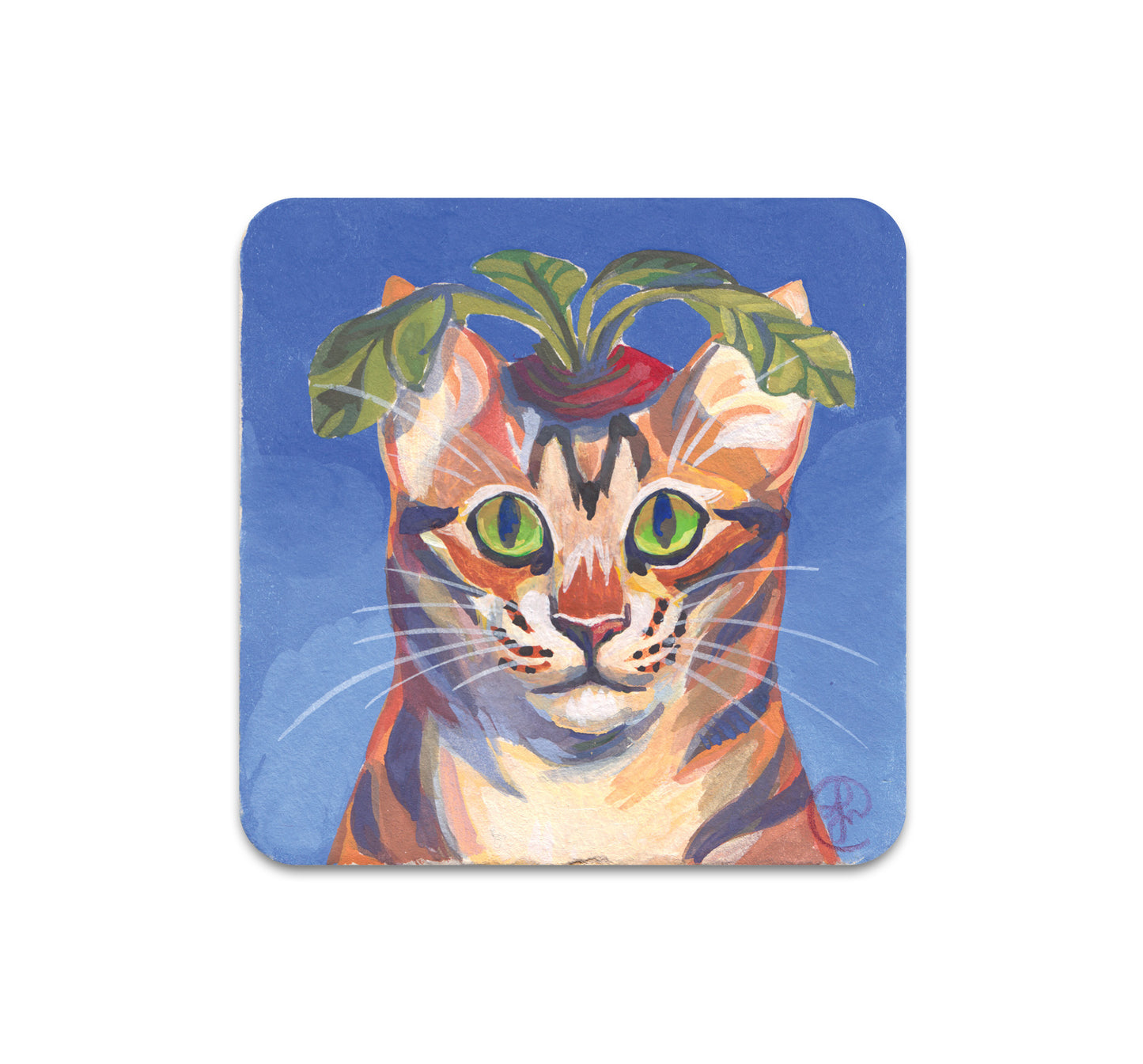 S4 フランチェスカ ブフコ - コースター 1 枚