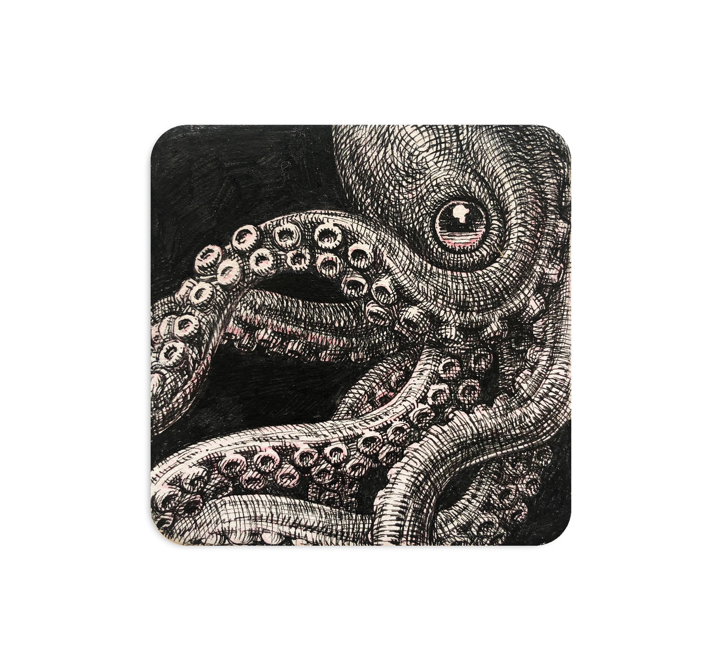 S4 グノパーク - コースター1台