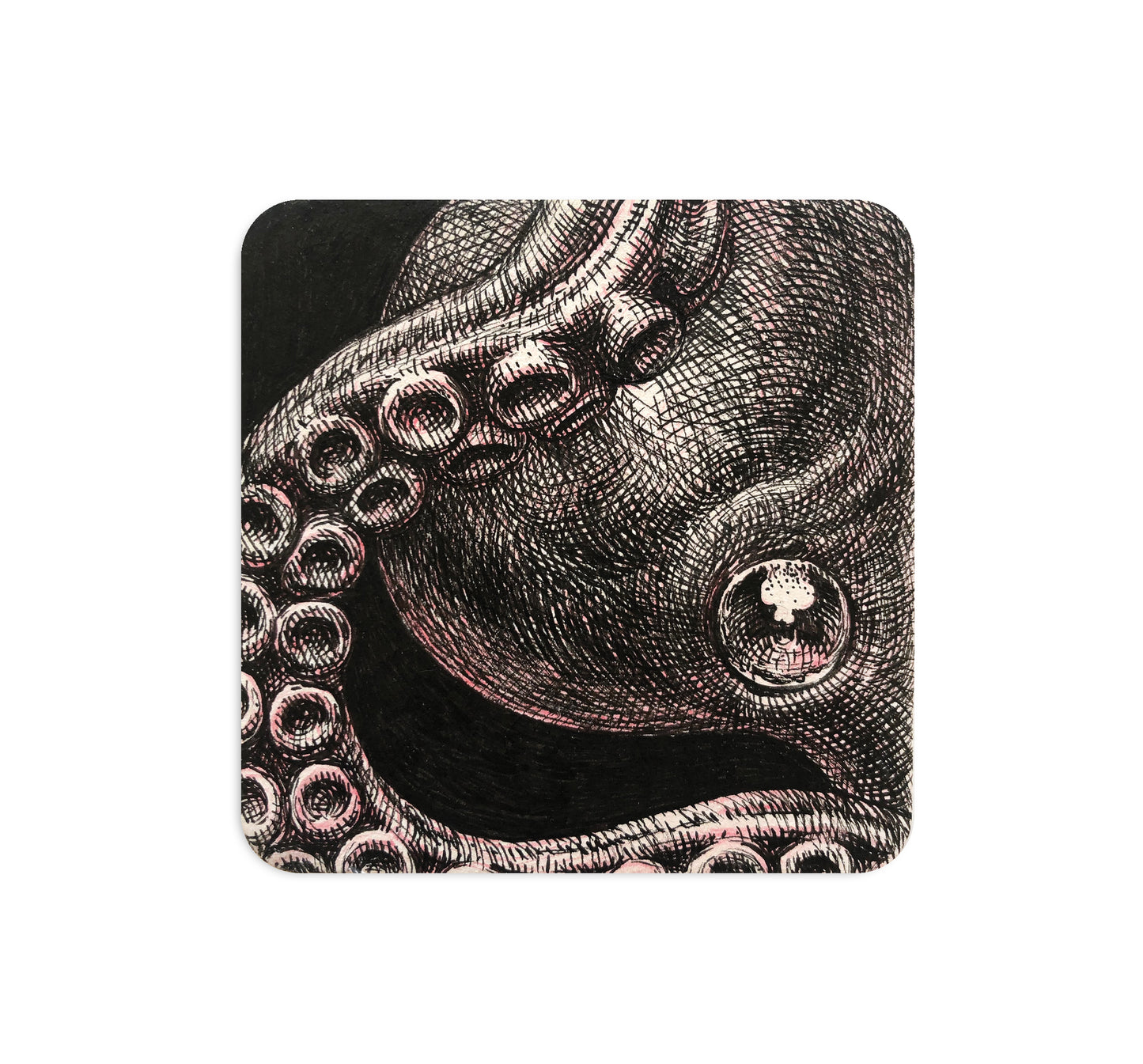 S4 グノパーク - 2コースター