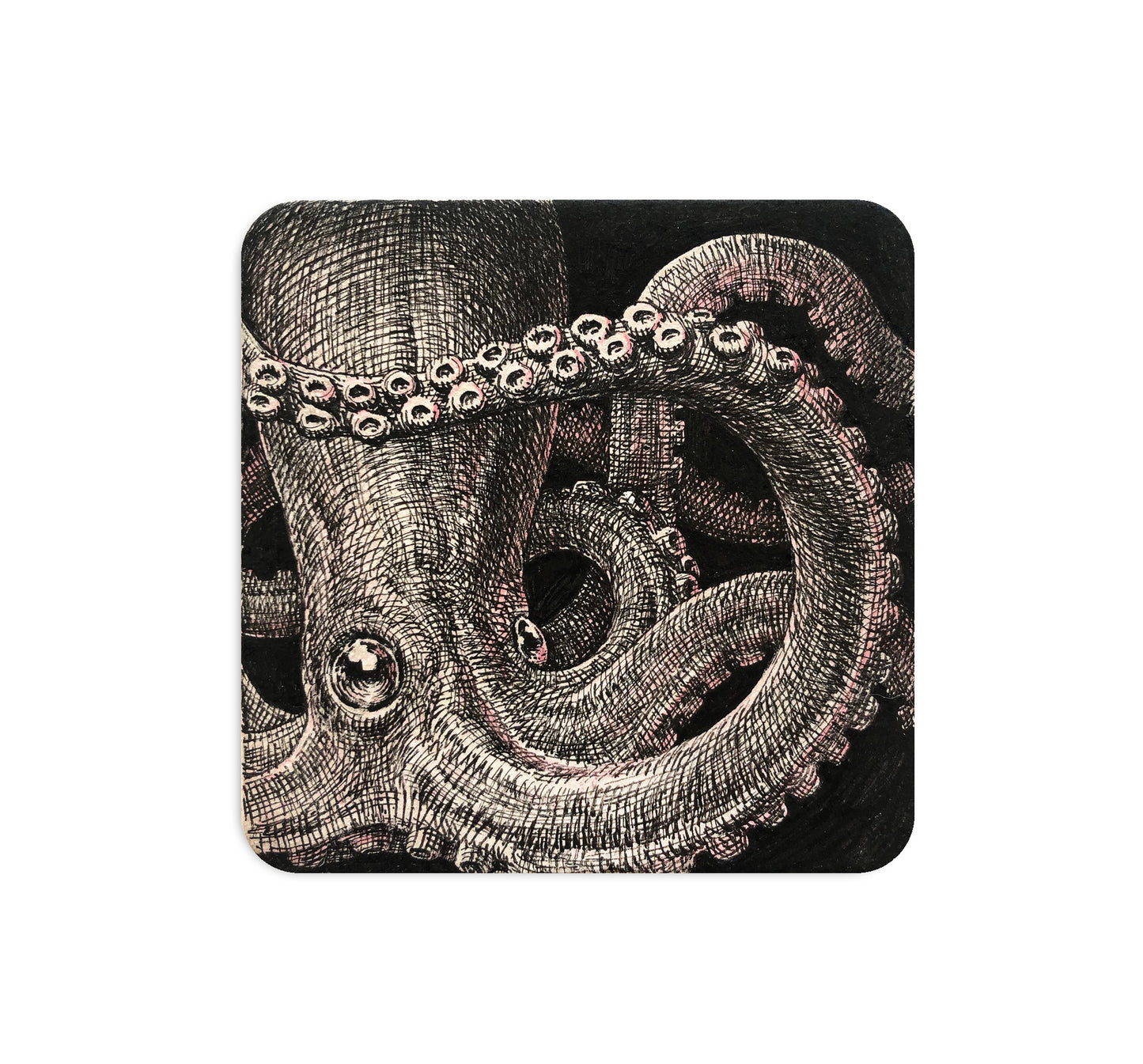 S4 グノパーク - 4コースター