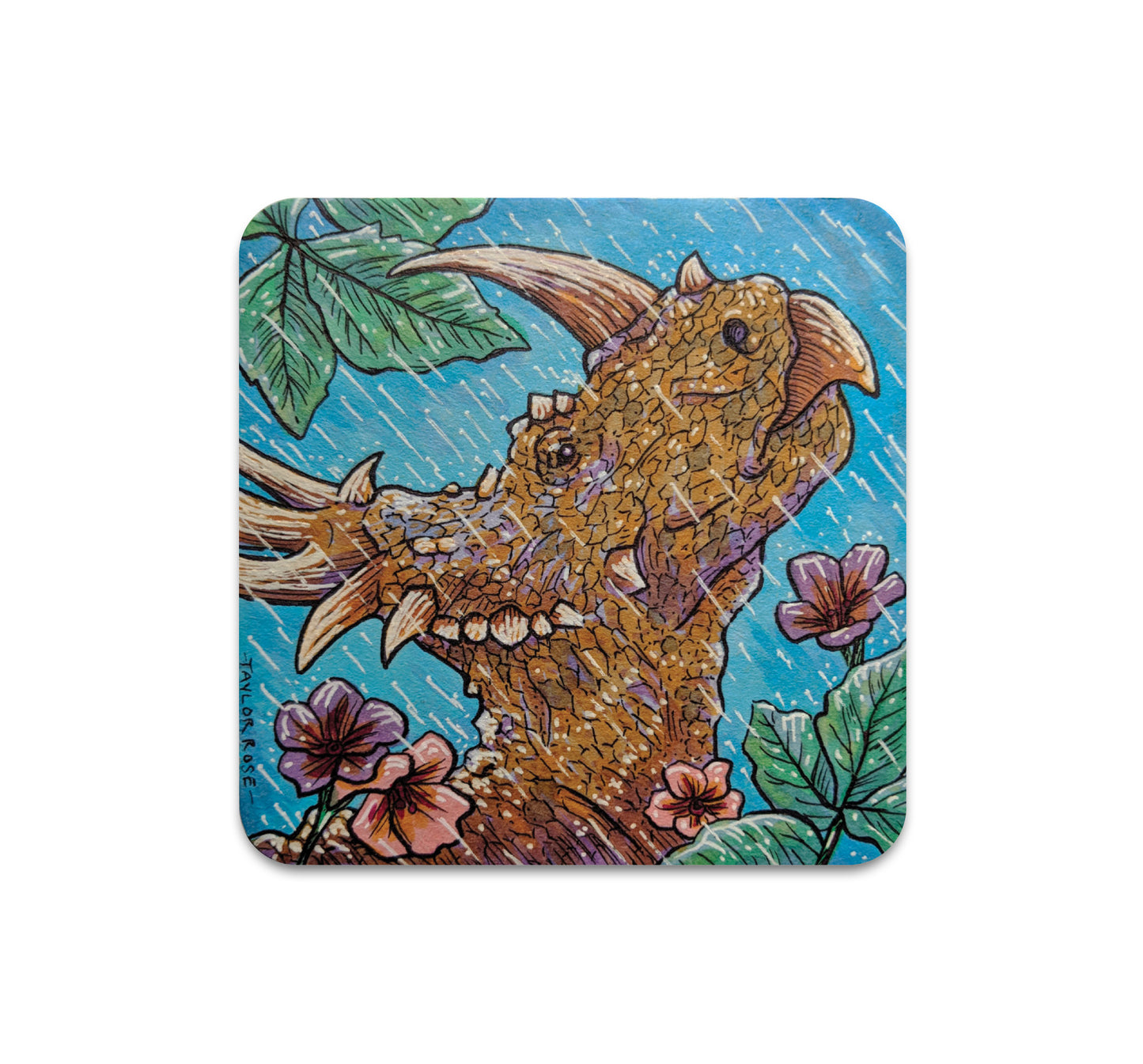 S4 Taylor Rose - 2 Coaster