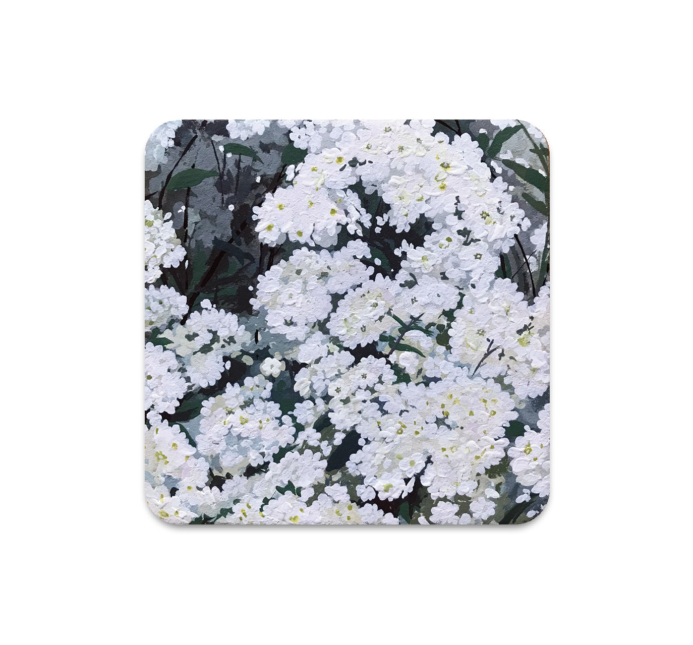 S5 Ouizi - 4 Coaster