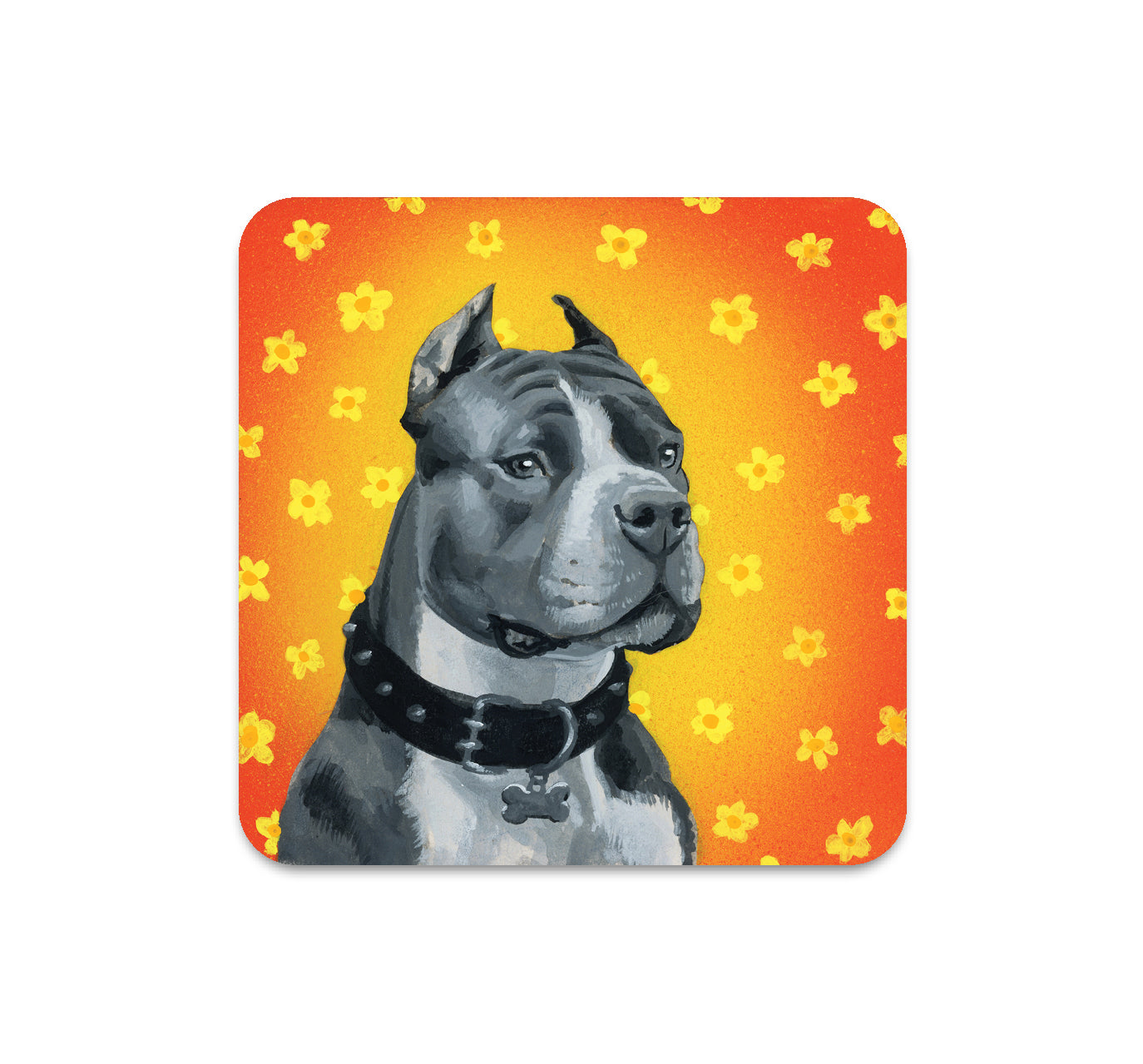 S5 パトリック・マシューズ - 2 コースター