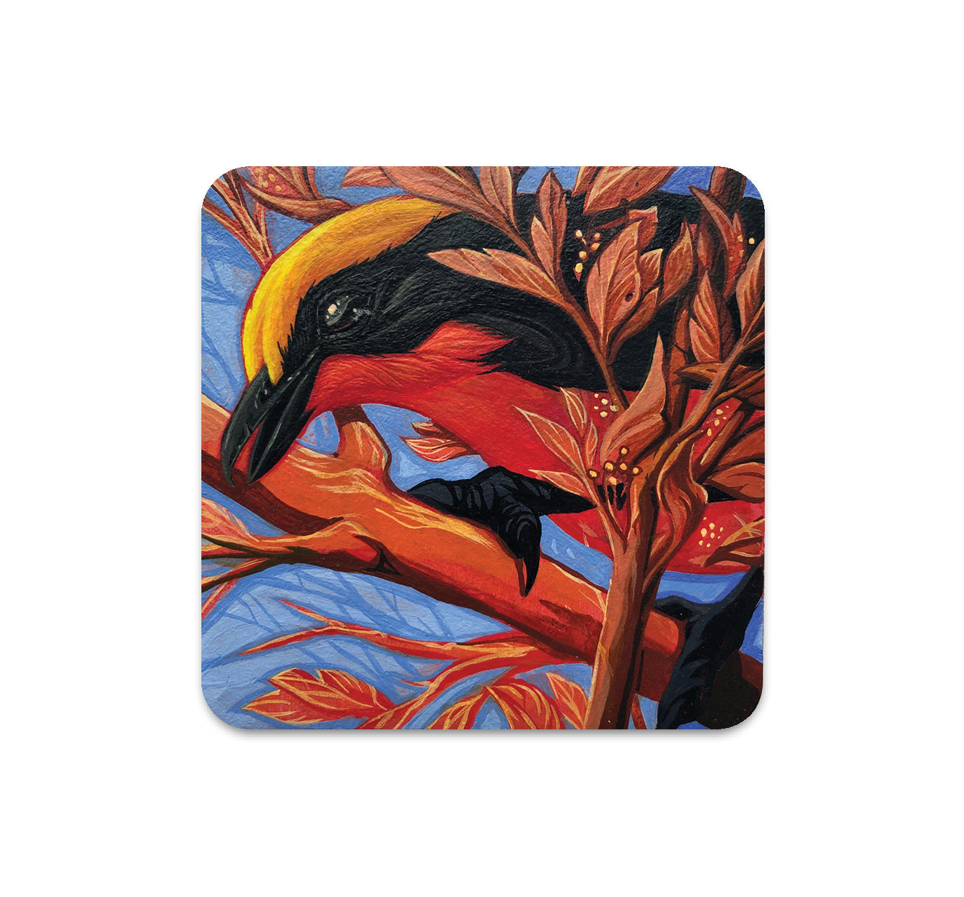 S5 Andrew Ghrist - 2 Coaster