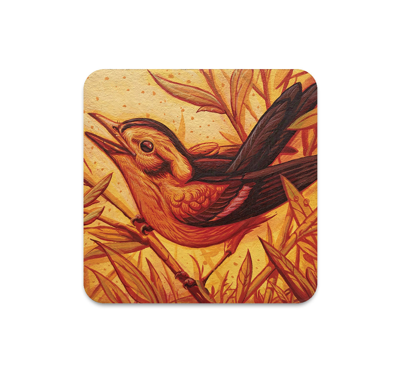 S5 Andrew Ghrist - 3 Coaster