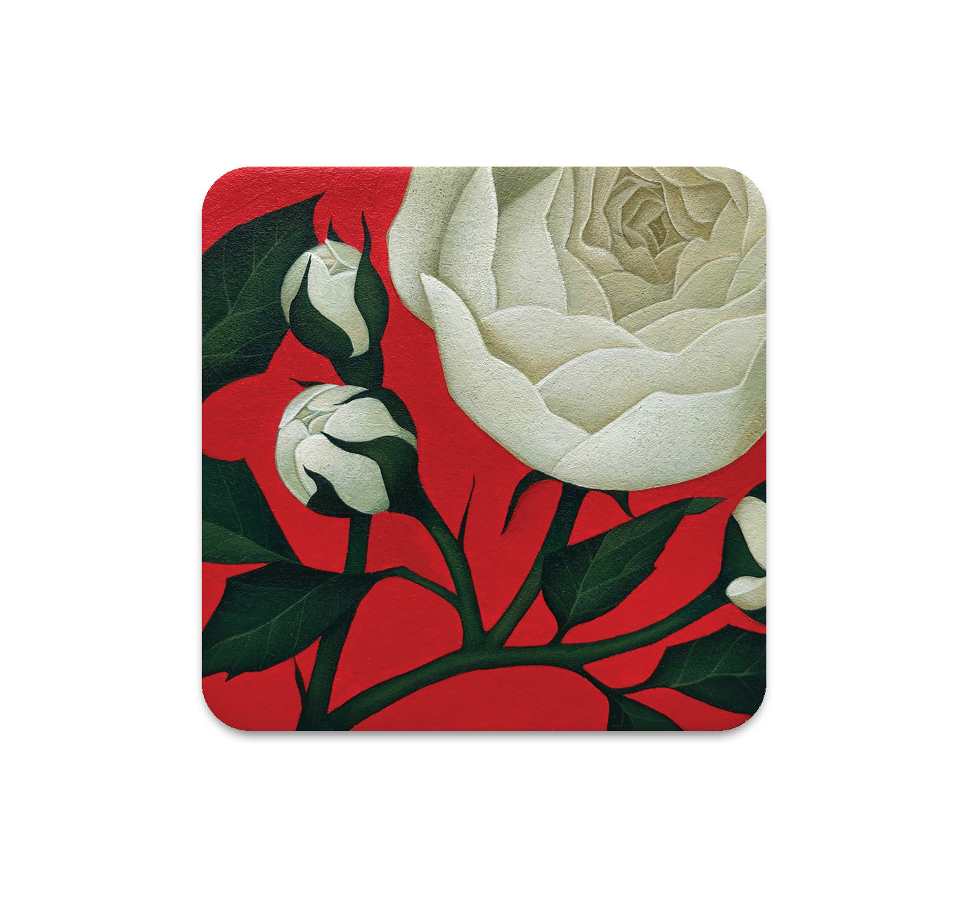 S5 グスタボ・リマダ - コースター 1 台