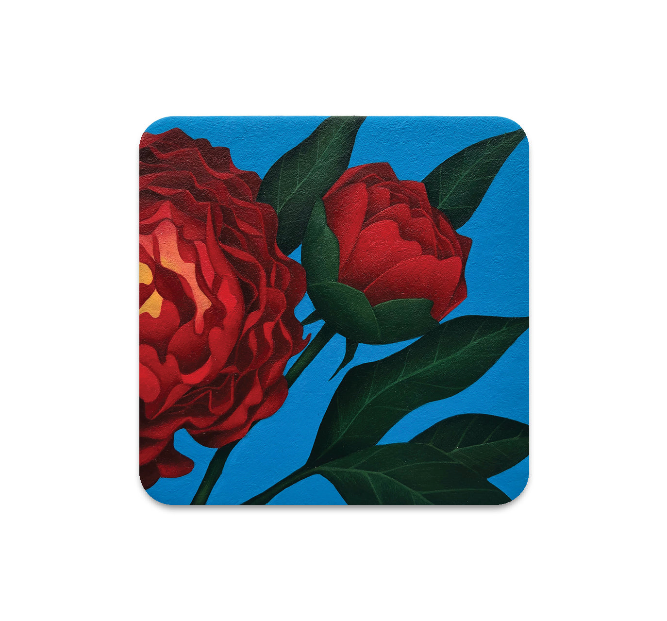 S5 グスタボ・リマダ - 4 コースター