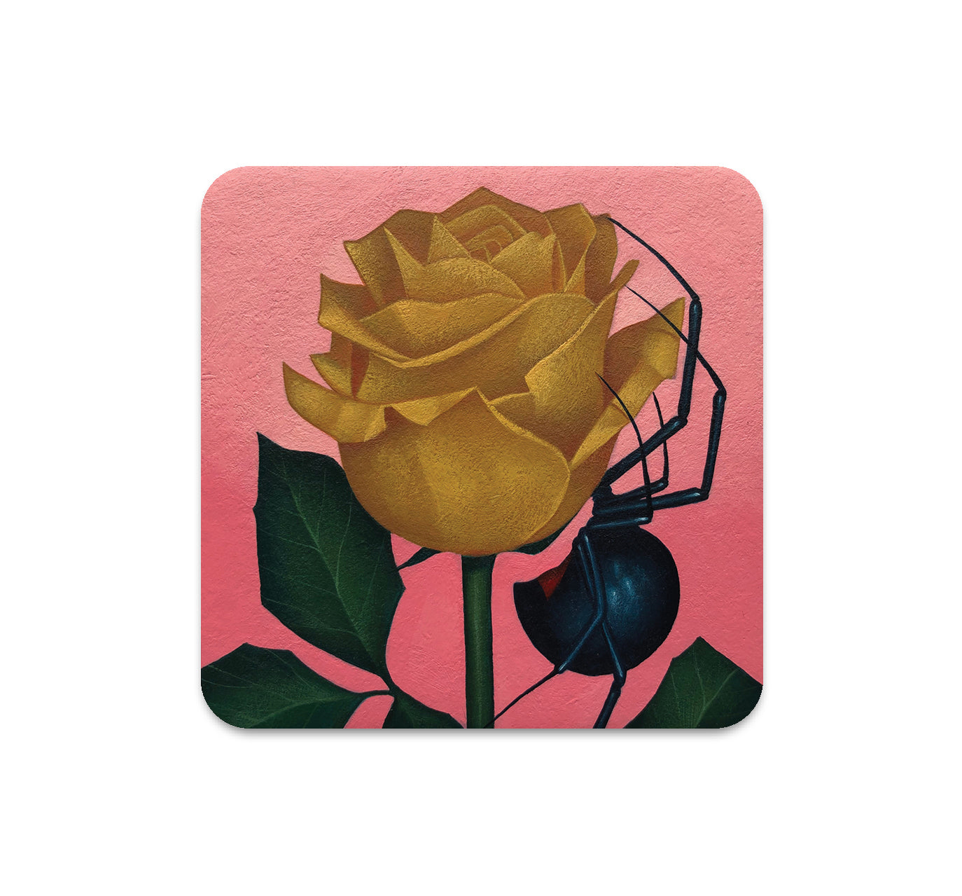 S5 グスタボ・リマダ - 6 コースター