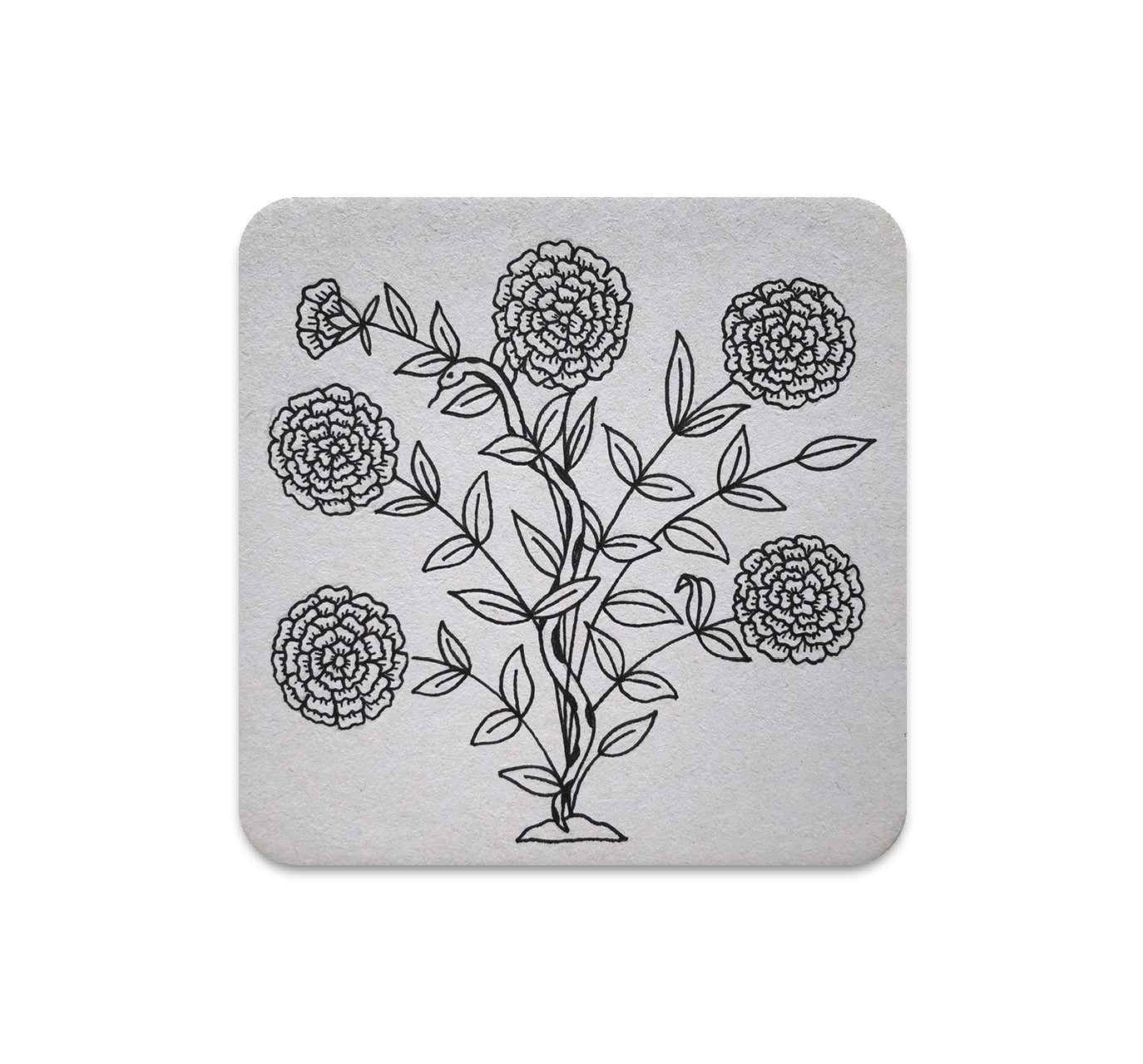 S5 ジョシュア・ミニッチ - 3 コースター