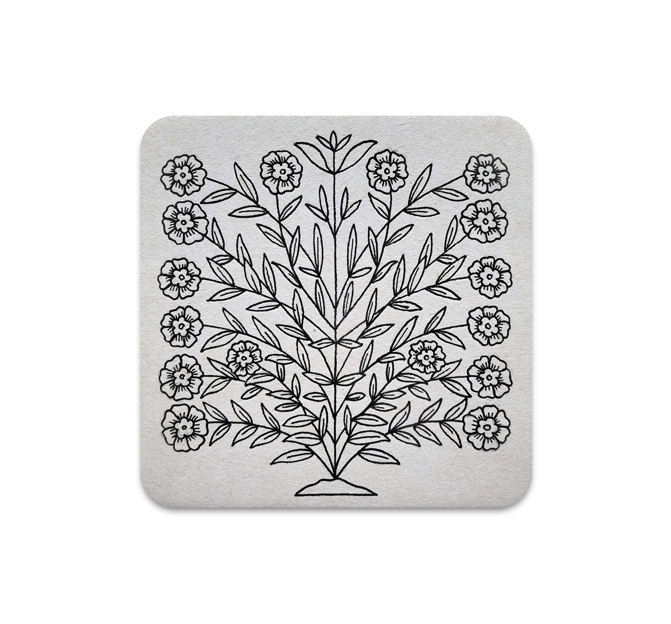 S5 ジョシュア・ミニッチ - 5 コースター