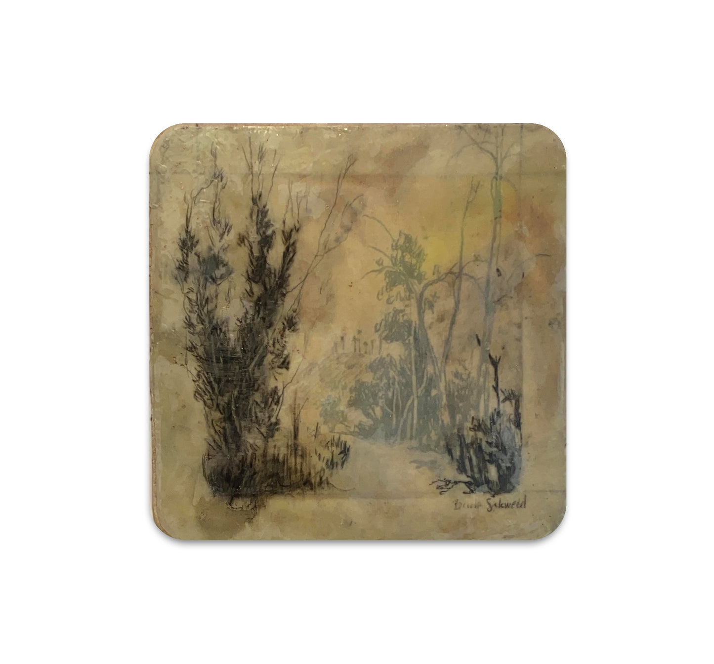 S6 Brooks Salzwedel - Coaster 3