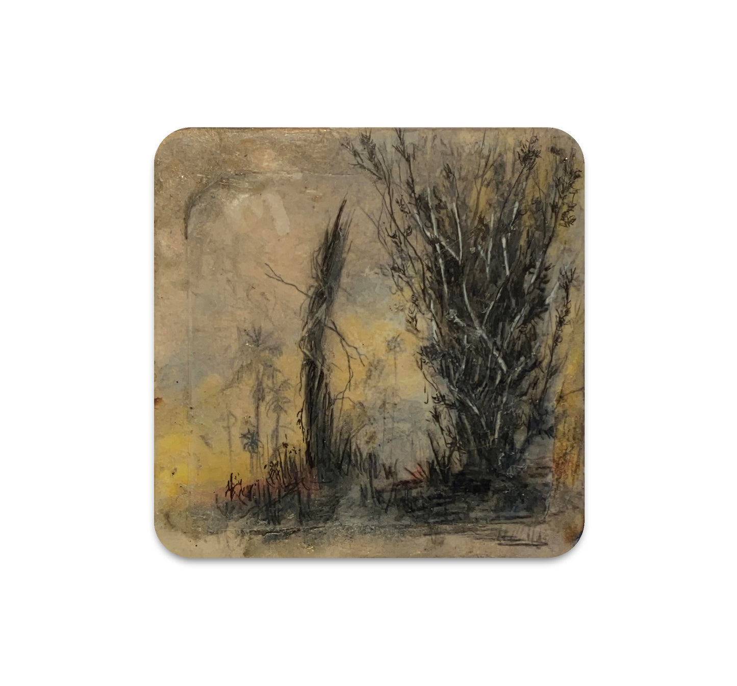 S6 Brooks Salzwedel - Coaster 4