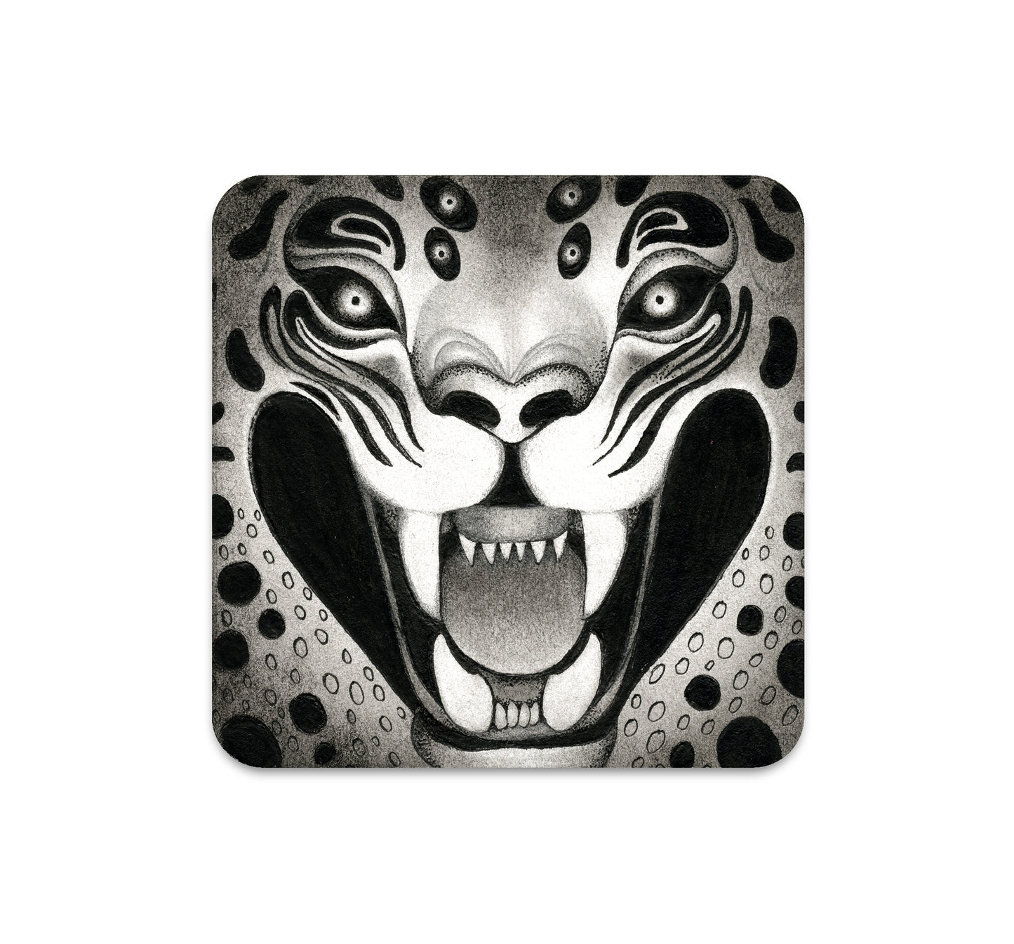 S6 Cristina Bencina - Coaster 3