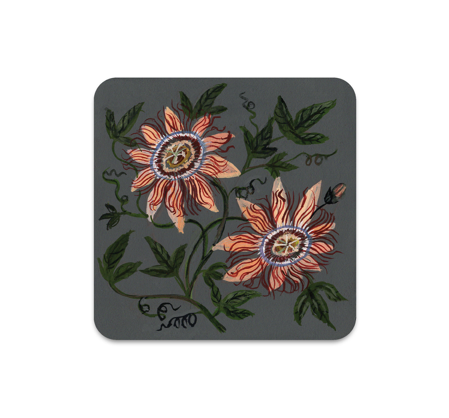 S6 Kelly Louise Judd - Coaster 6