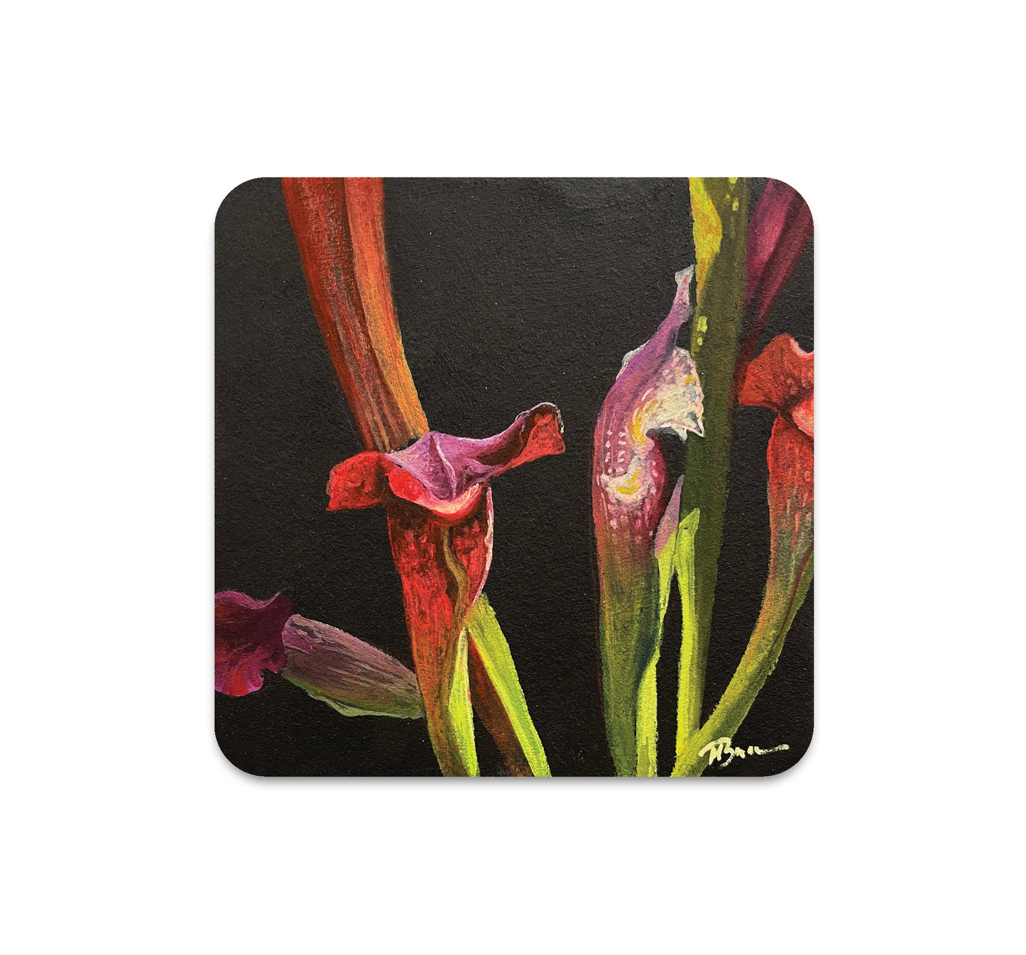 S6 Megan Buccere - Coaster 4