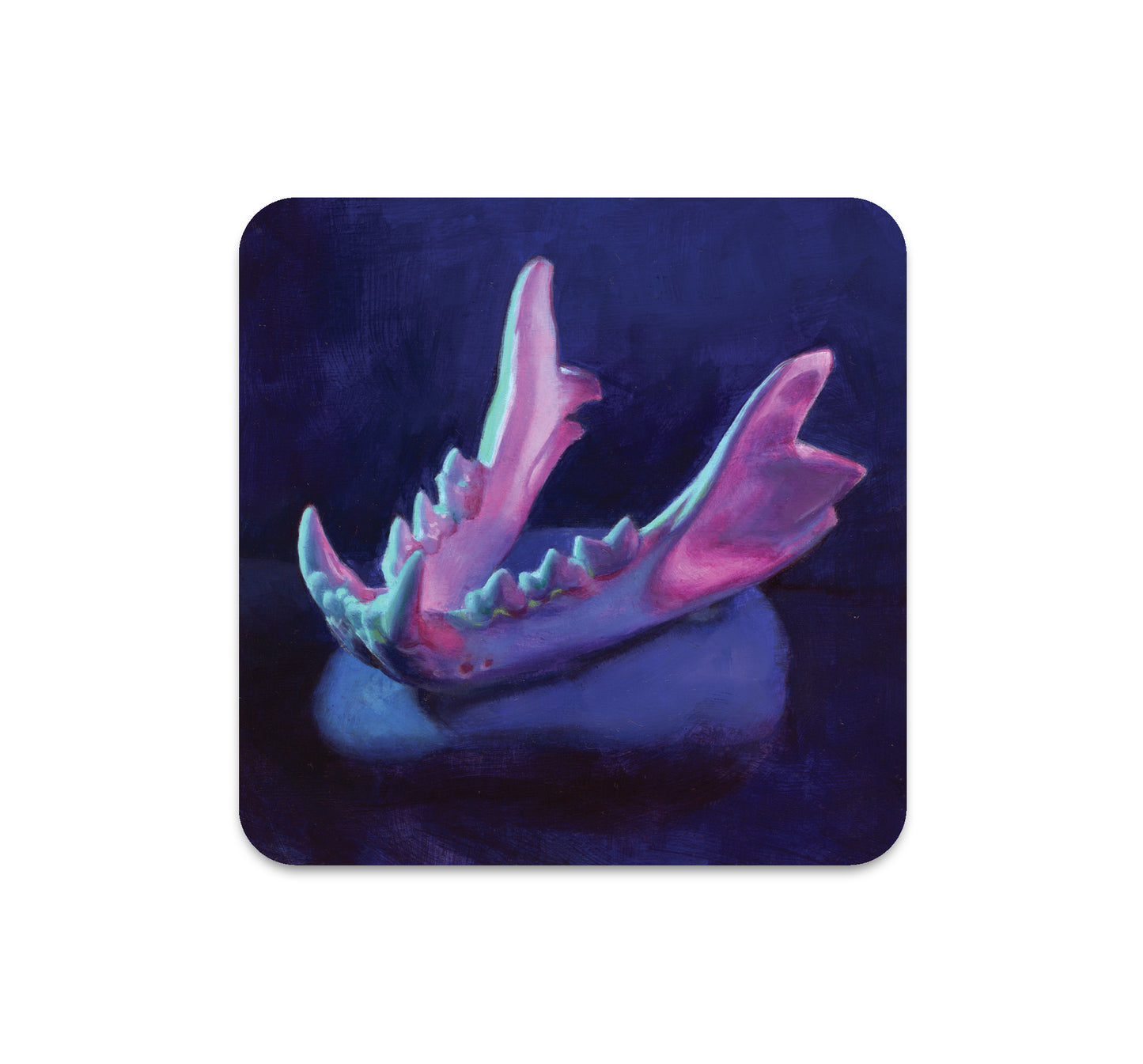 S6 Tegan Bellitta - Coaster 3