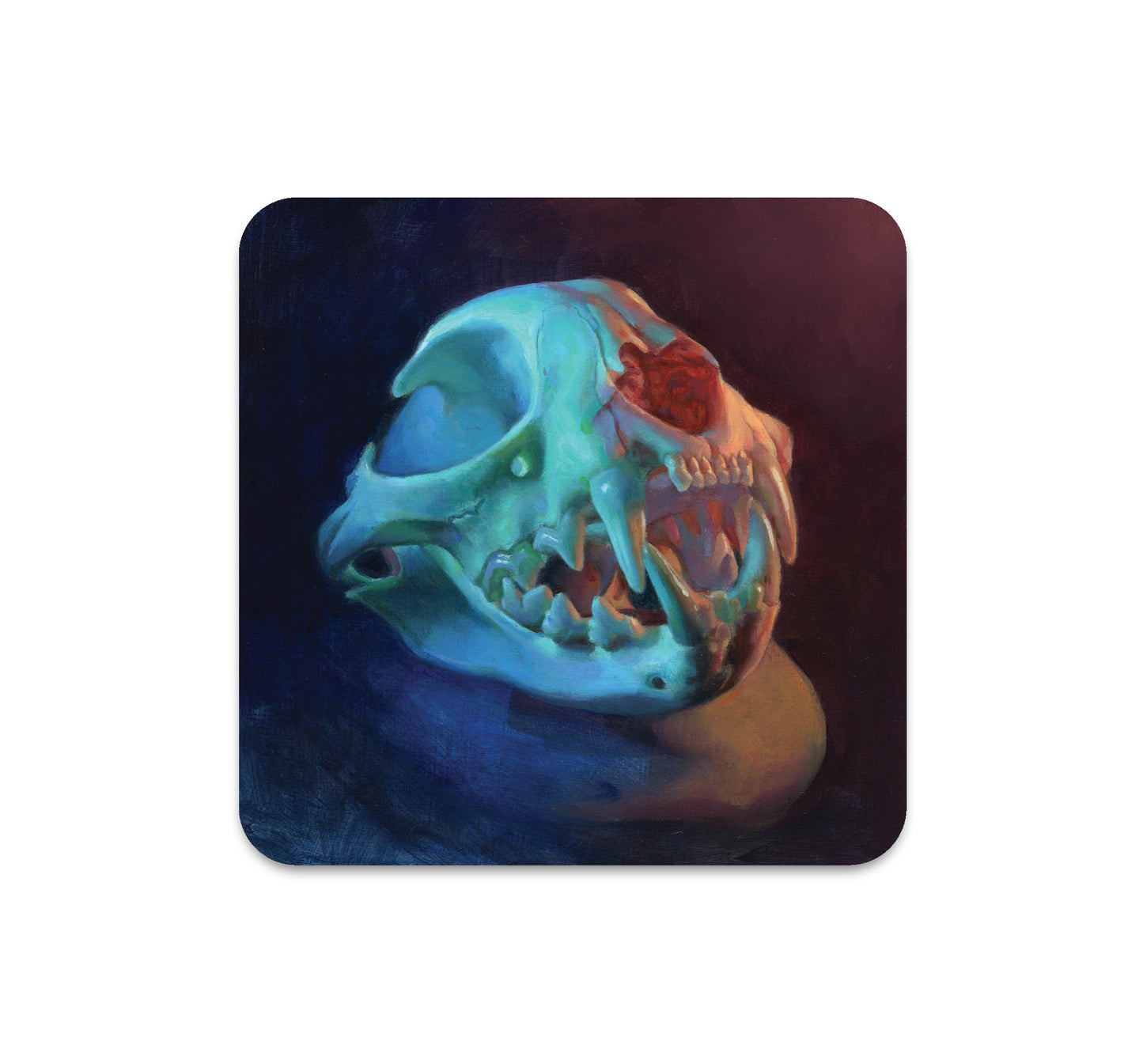 S6 Tegan Bellitta - Coaster 6