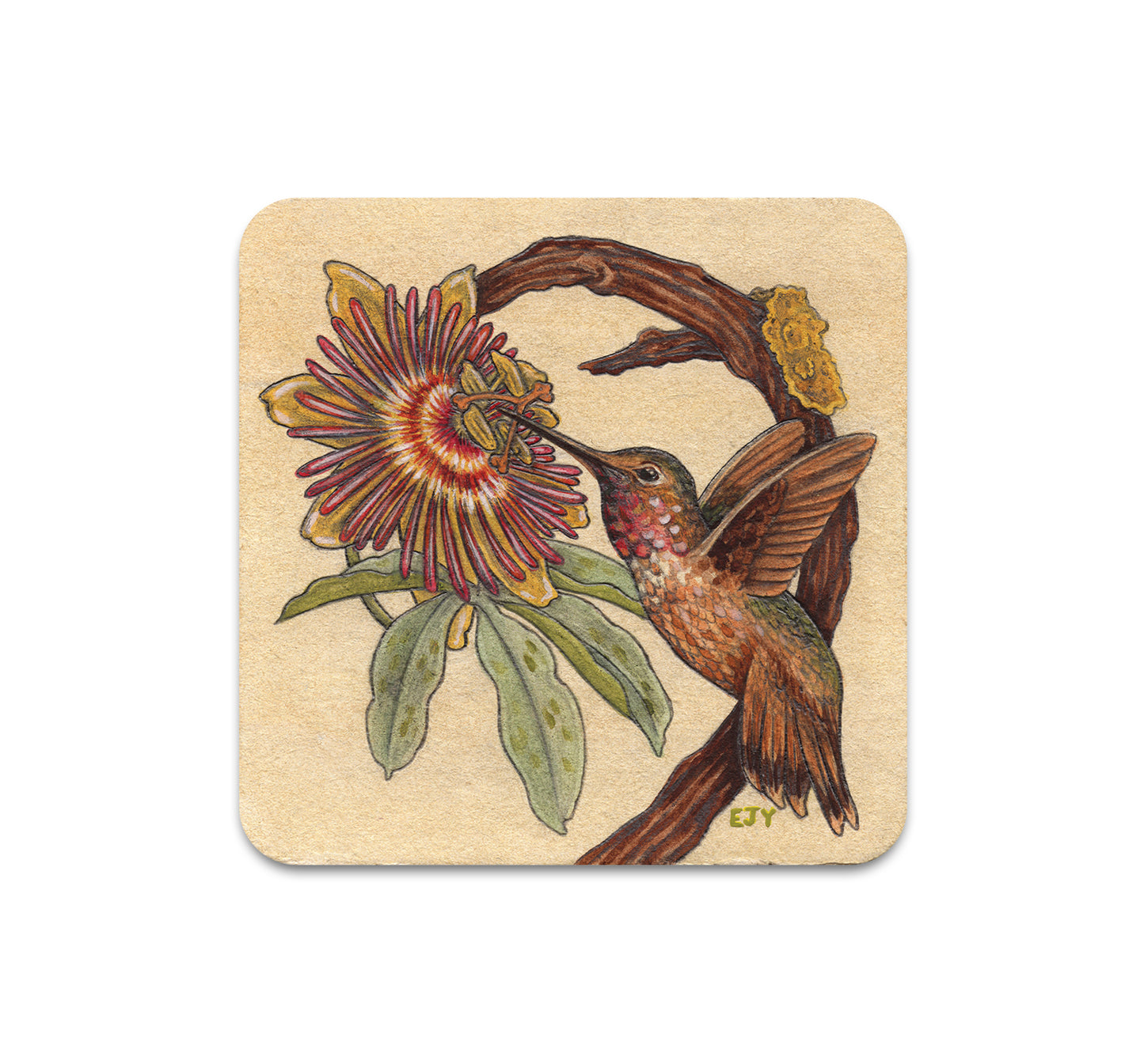 S7 Elizabeth Jean Younce - Coaster 3