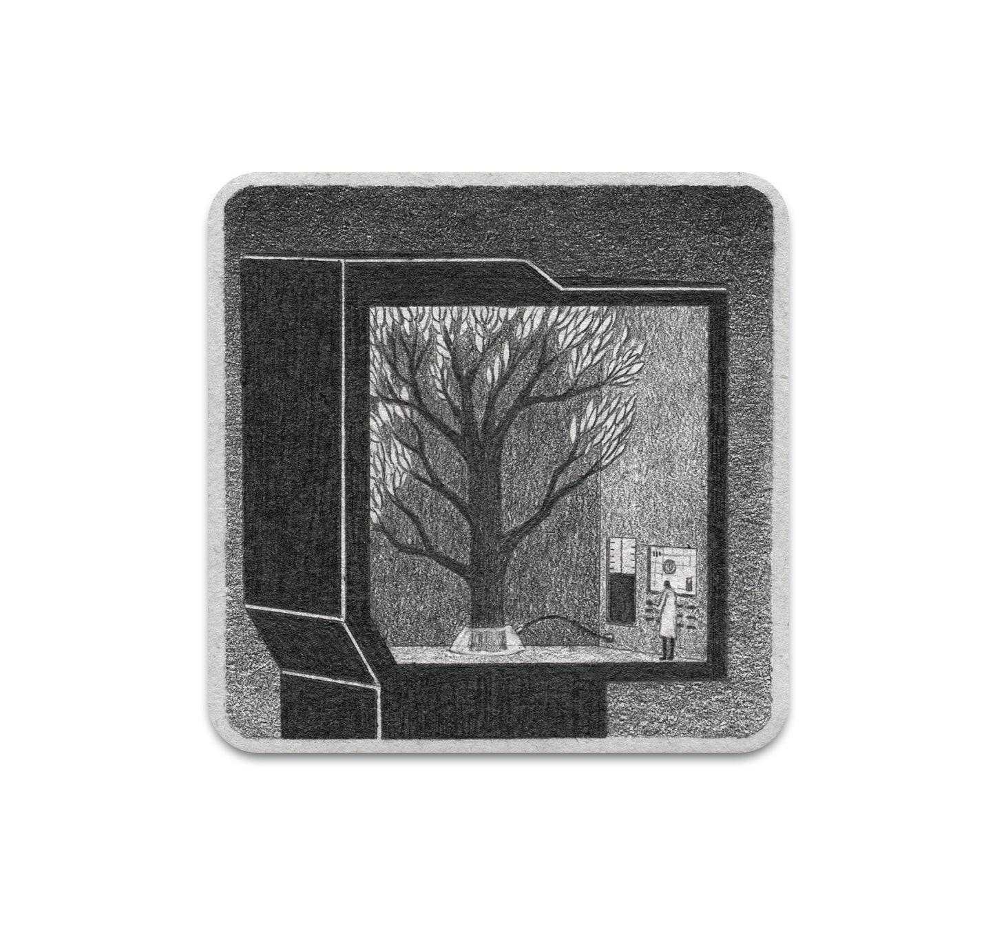 S7 James Lipnickas - Coaster 8