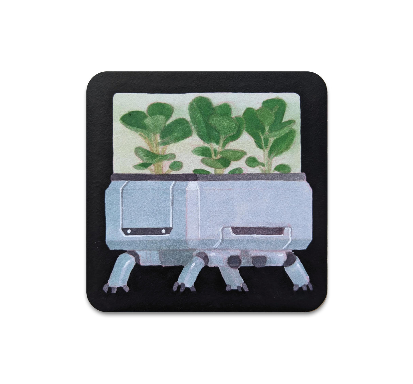 S7 Victoria Orolfo - Coaster 1