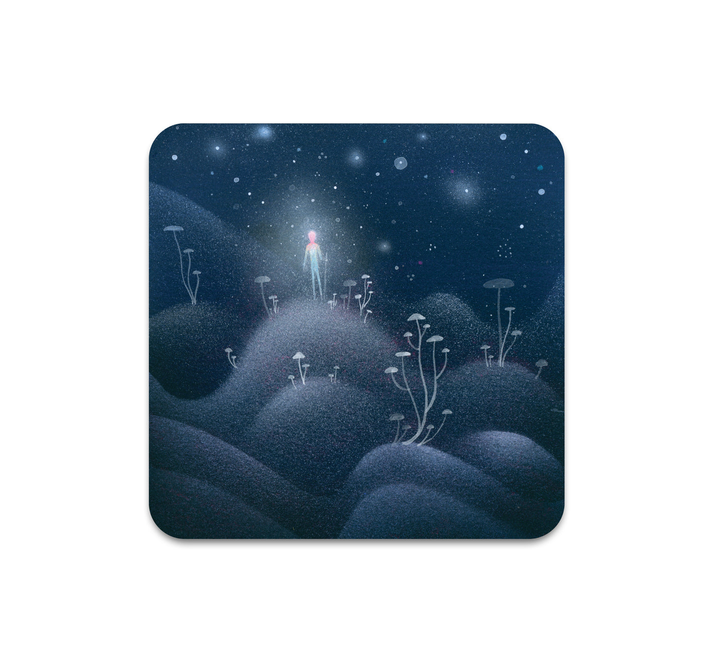 S7 Aaron Piland - Coaster 2