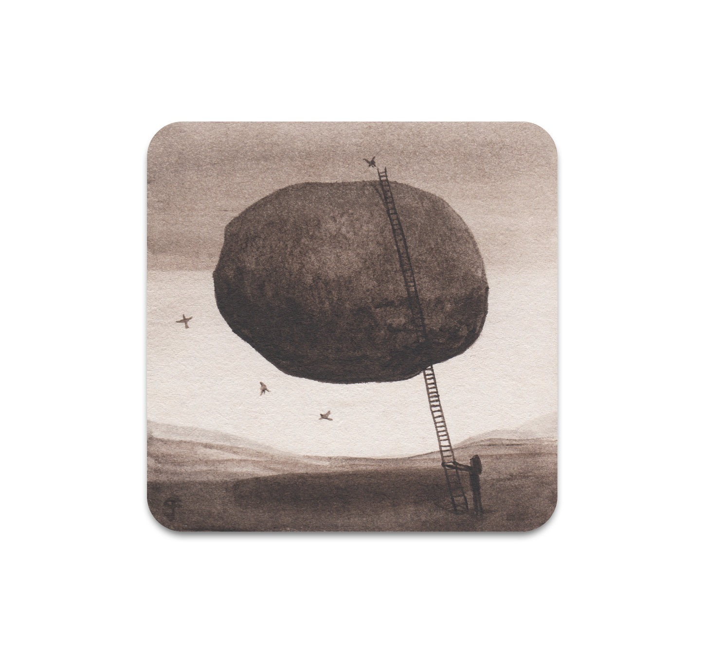 S7 グラハム・フランシオーズ - コースター 7