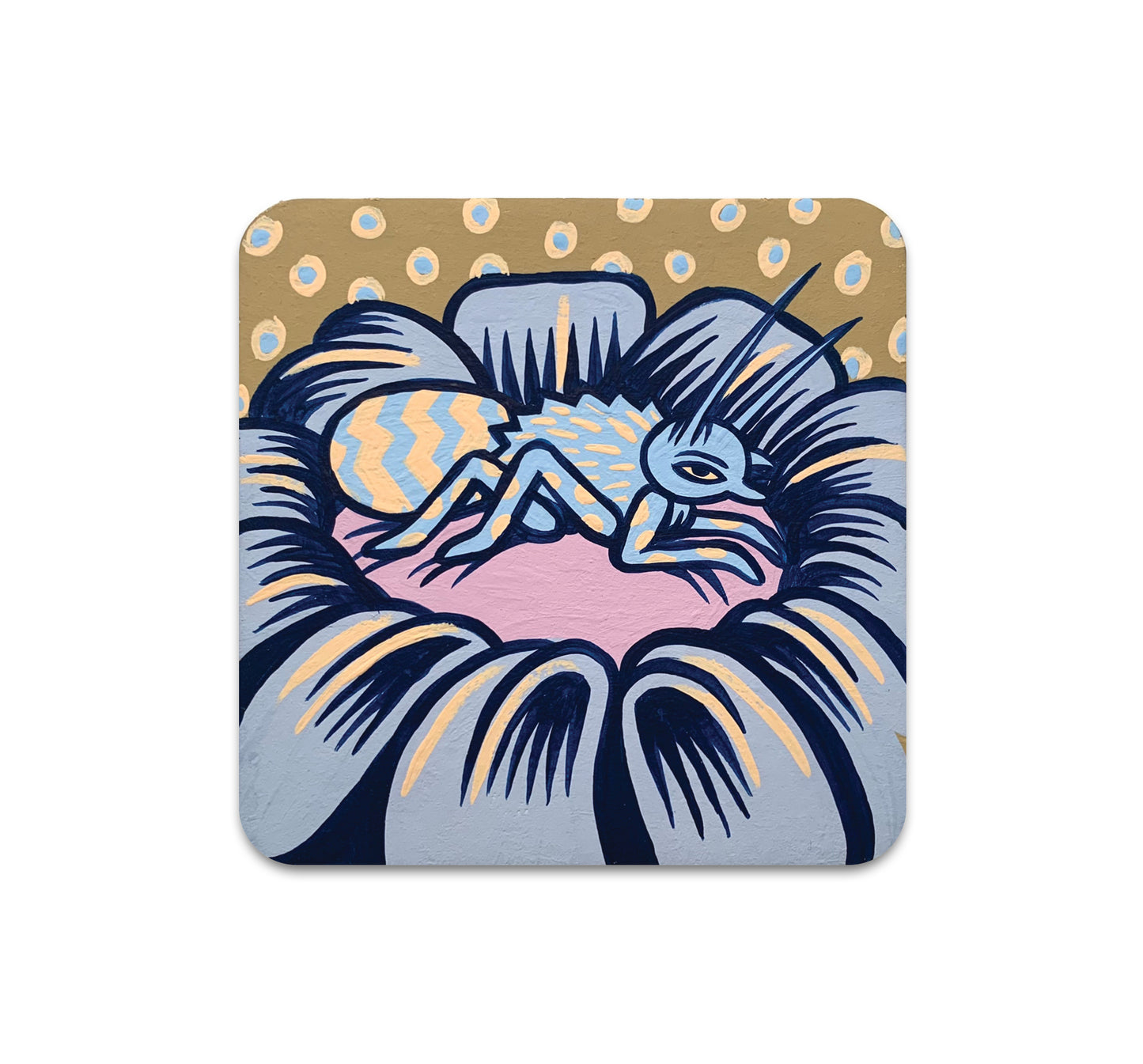 S7 Jade Sturms - Coaster 3