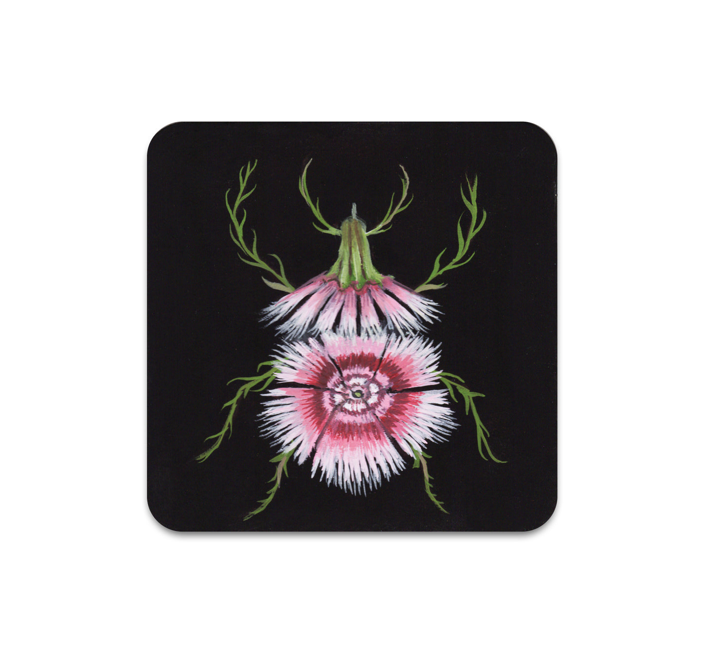 S7 Kelly Louise Judd - Coaster 5