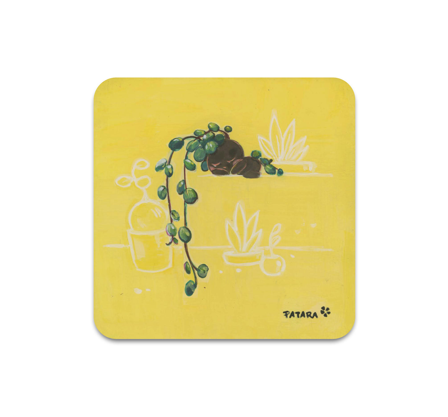 S7 Patara - Coaster 2