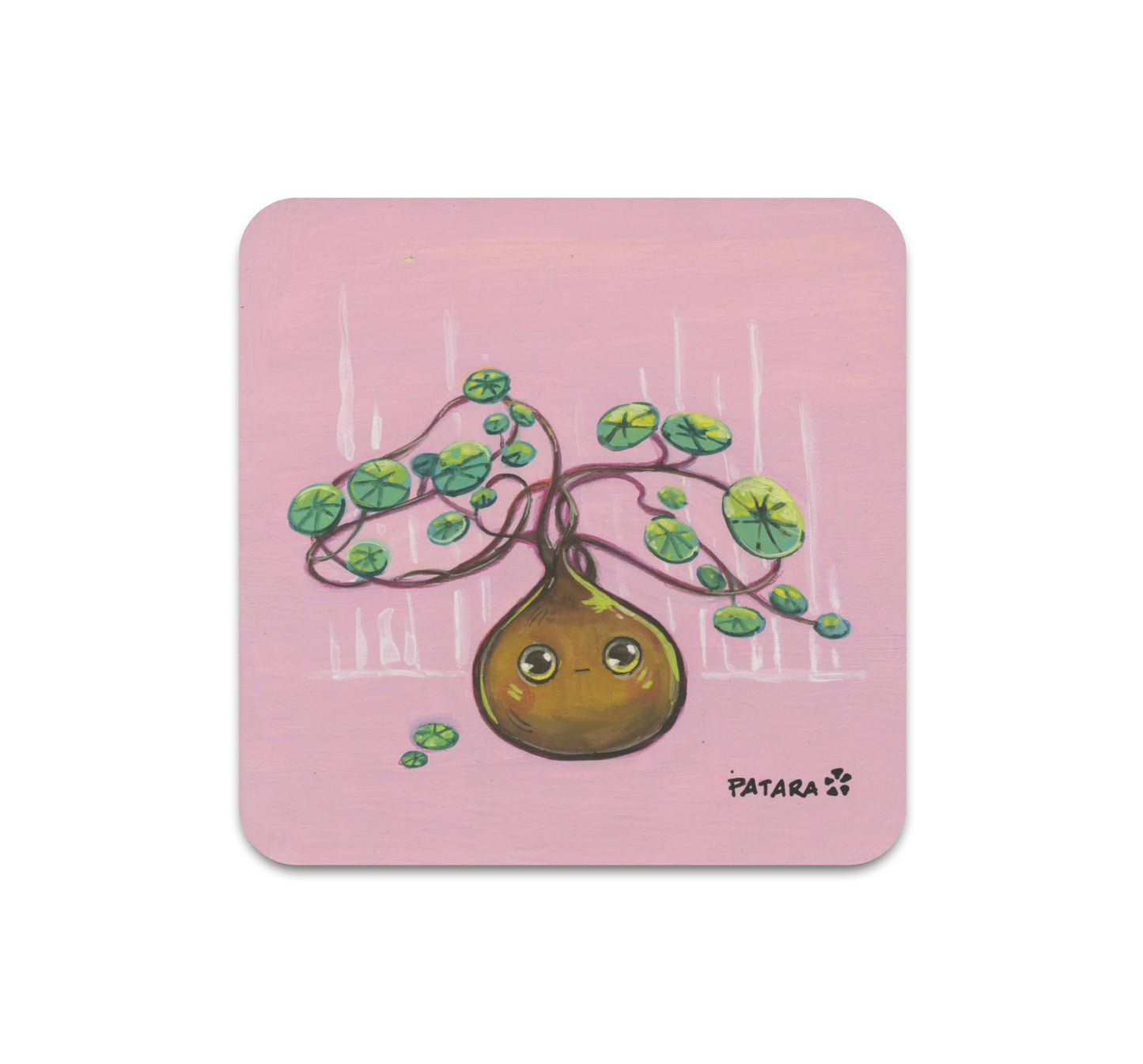 S7 Patara - Coaster 3