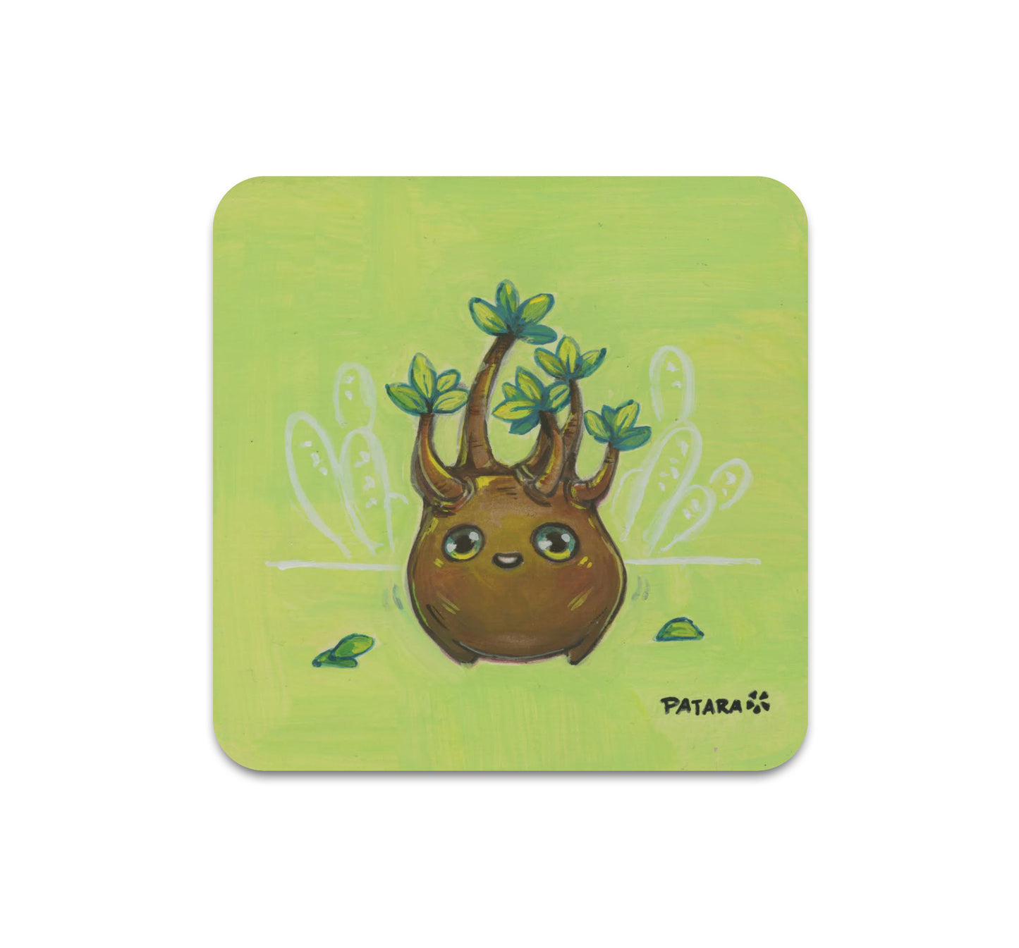 S7 Patara - Coaster 4