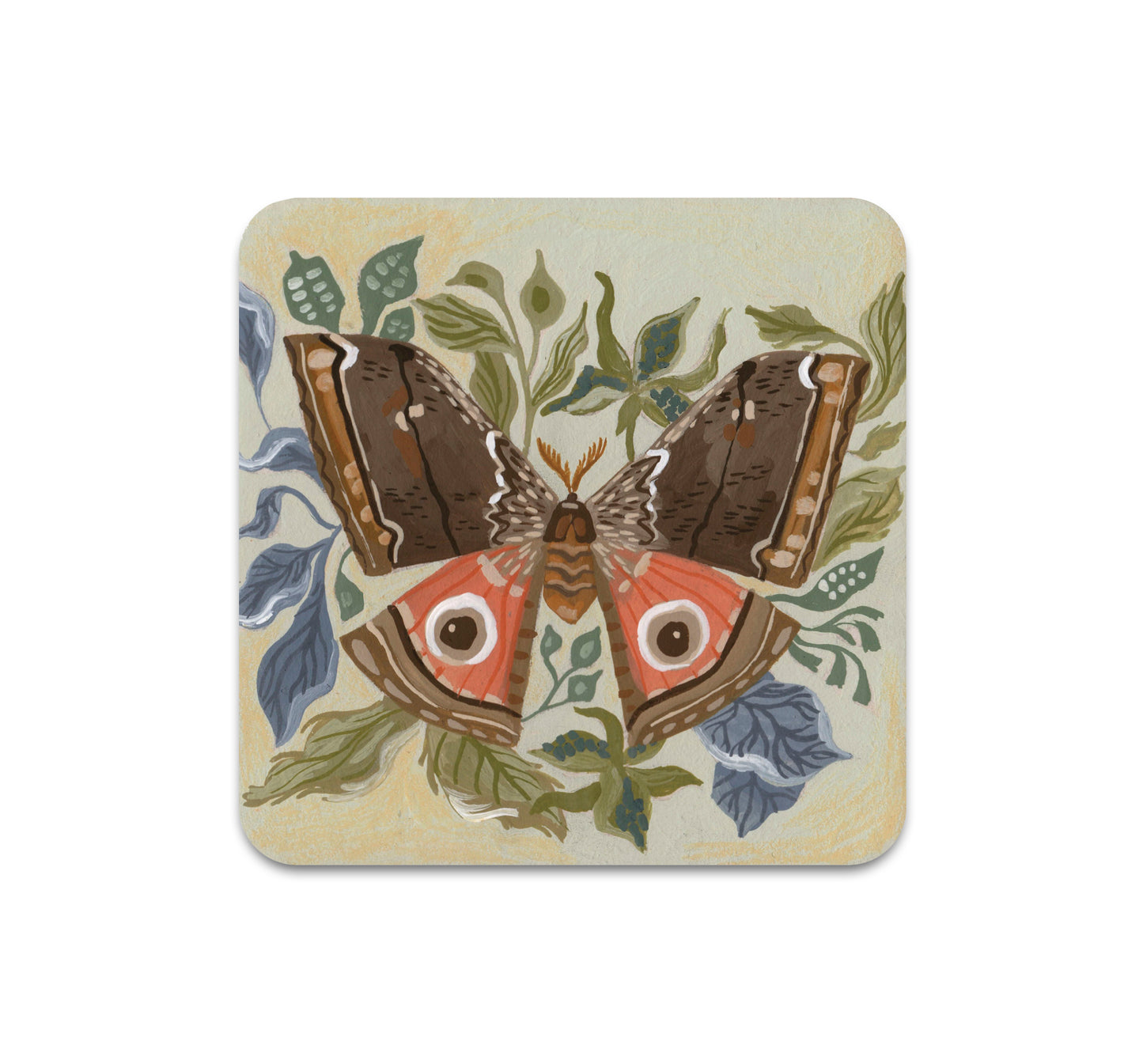 S7 Rae Ritchie - Coaster 2