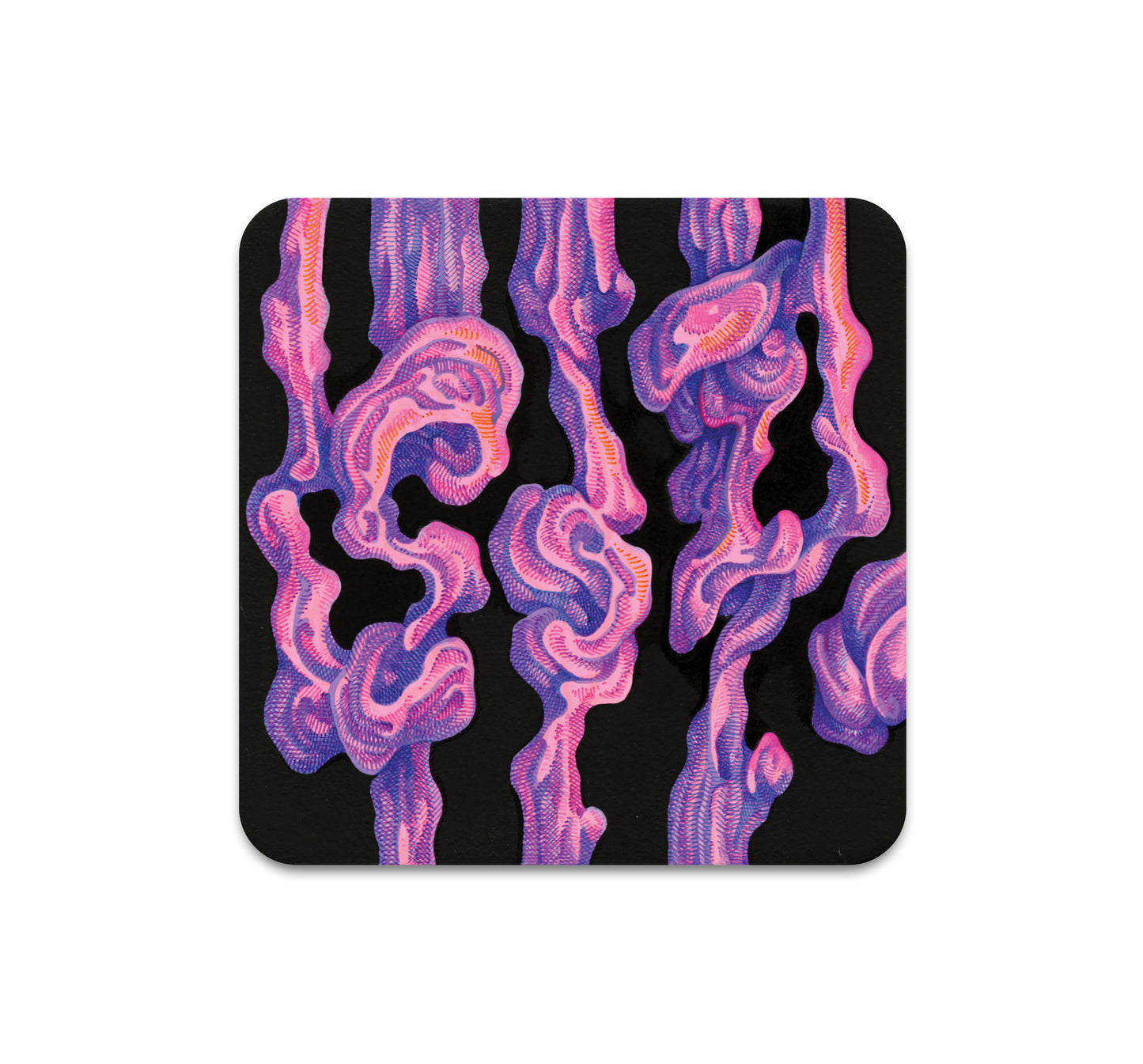 S7 ソン・カン - コースター 3