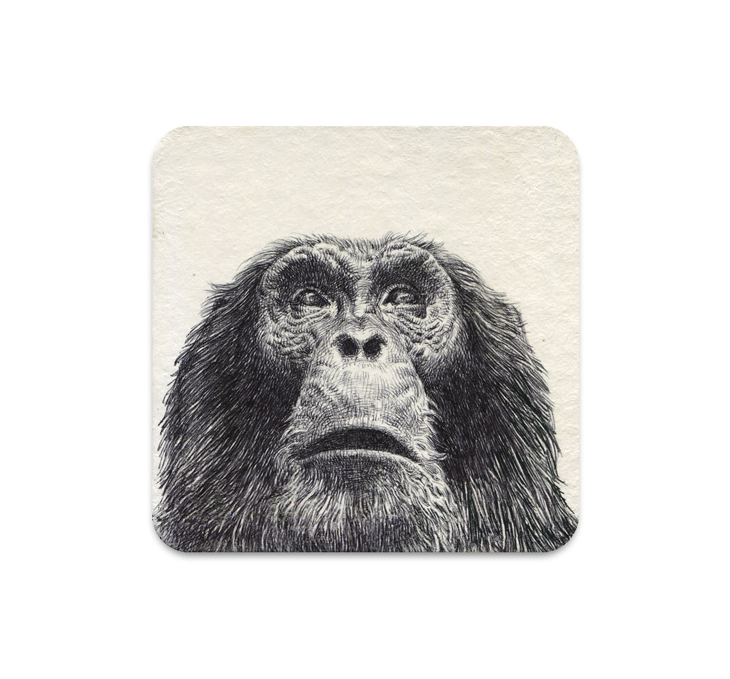 S5 グノパーク - 2コースター