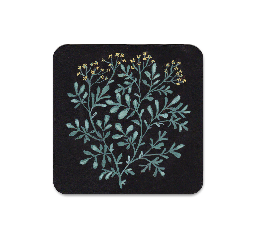 S5 ケリー・ルイーズ・ジャッド - 4 コースター