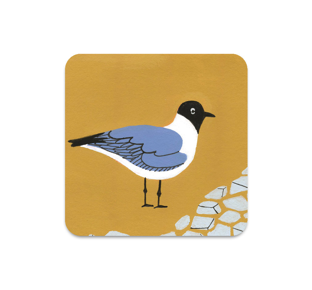 S5 Kristen Solecki - 2 Coaster