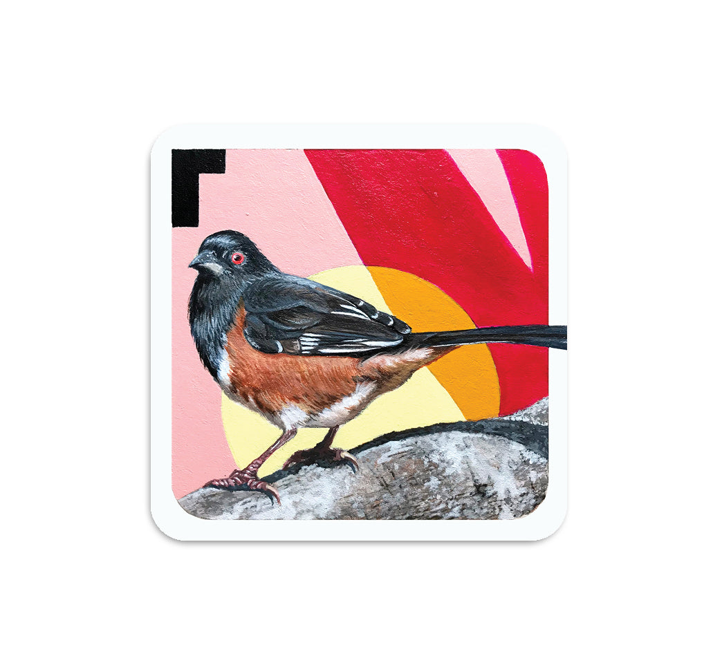 S5 スティーブ・マルティネス - 2 コースター