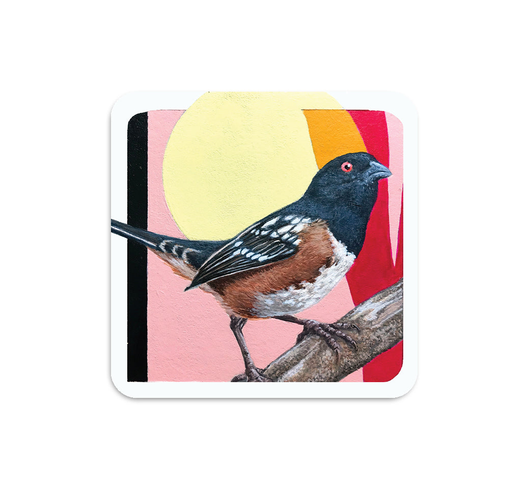 S5 Steve Martinez - 3 Coaster