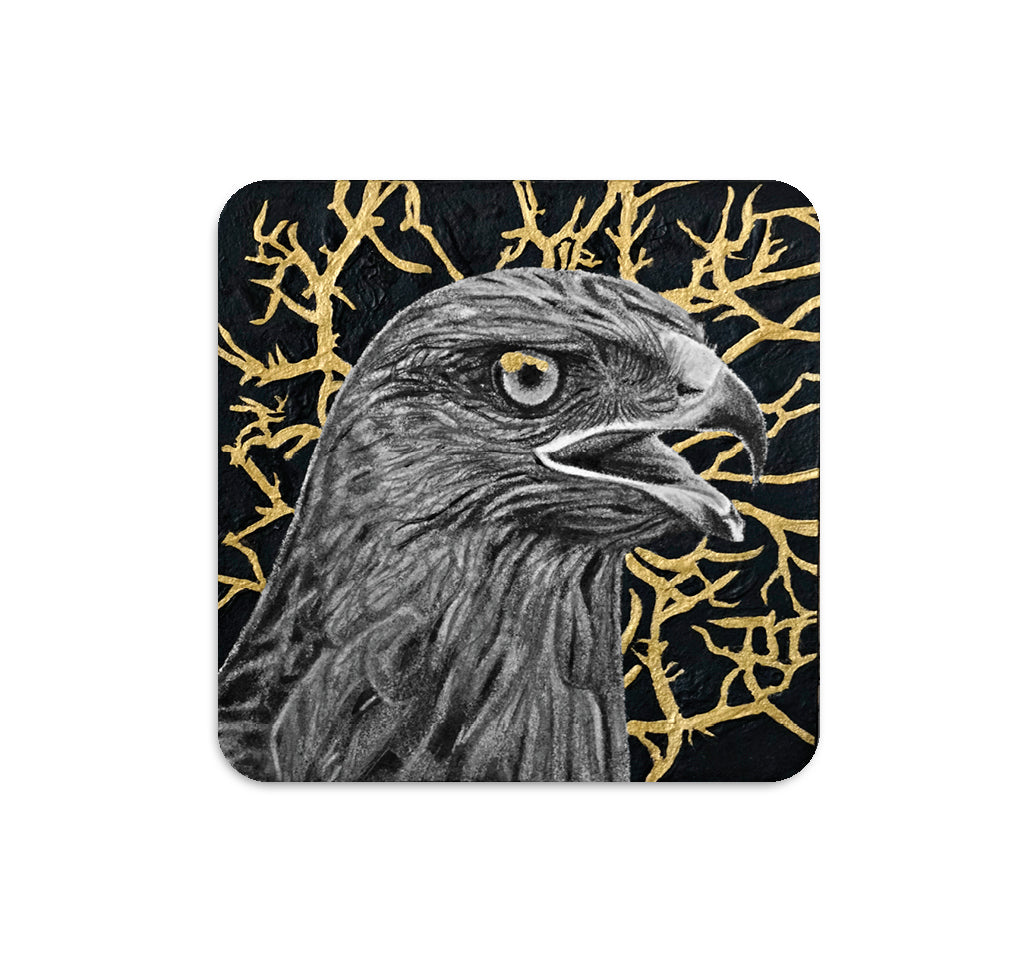 S5 Zach Meyer - 1 Coaster