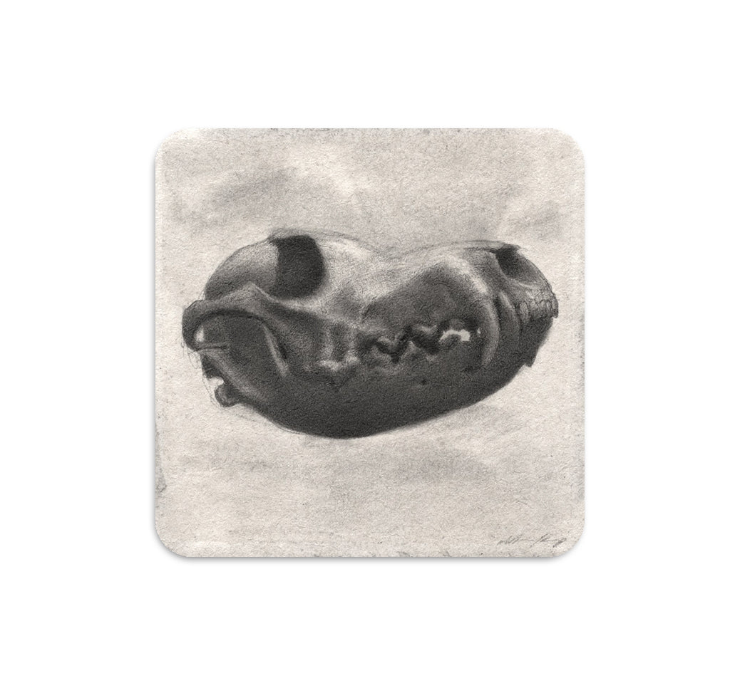 S5 Zachary Oldenkamp - 4 Coaster