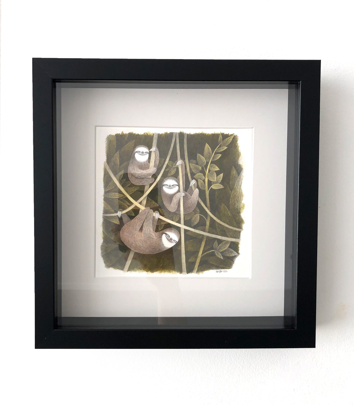 Kim Slate - Three Three-Toed Sloths