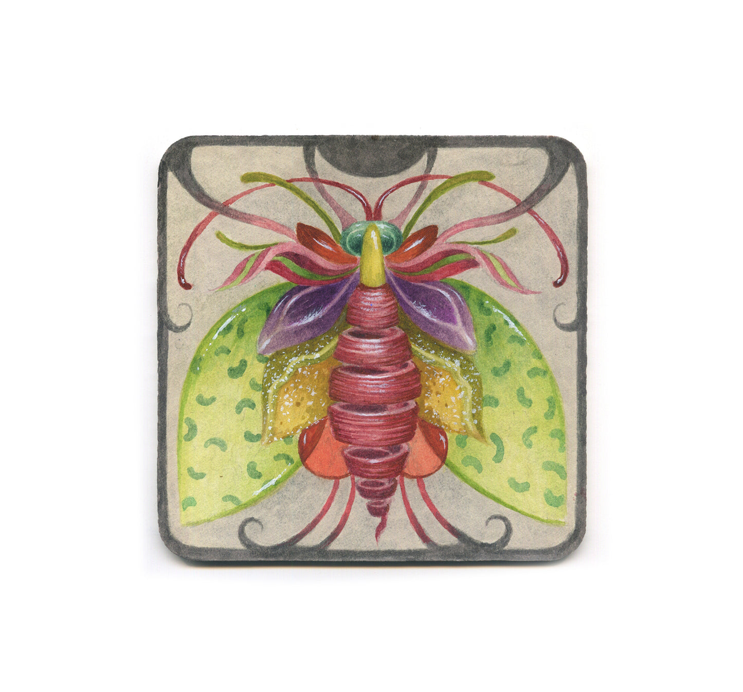 S2 S.V. Williams - Brother Coaster