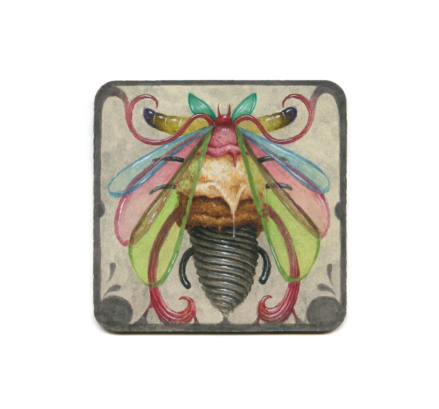 S2 S.V. Williams - Sister Coaster