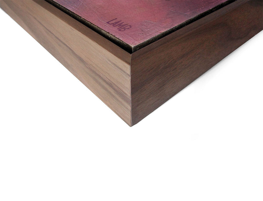 Timothy Lamb - The Amazon Sisters