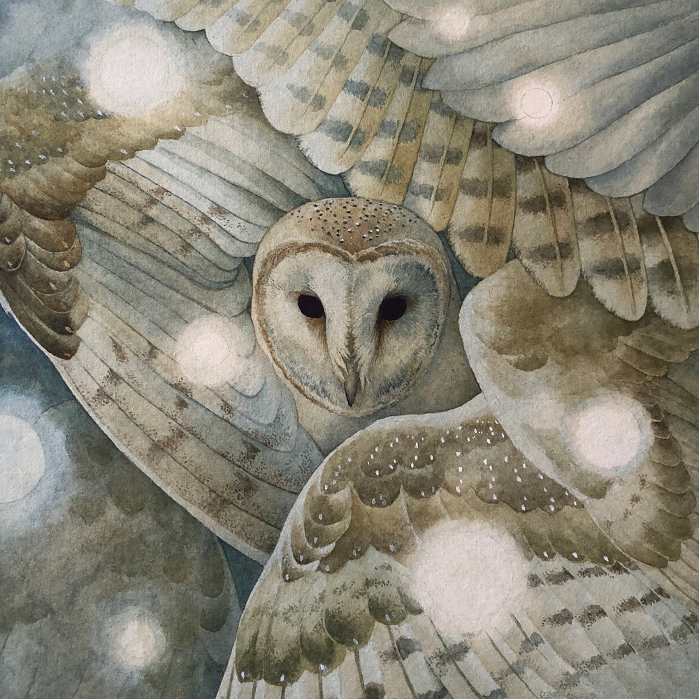 リリー・セイカ・ジョーンズ - ウィル・オ・ウィスプ